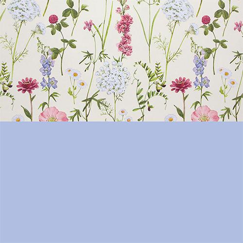 Gift wrap 3650 55cm Flower Meadow Sand