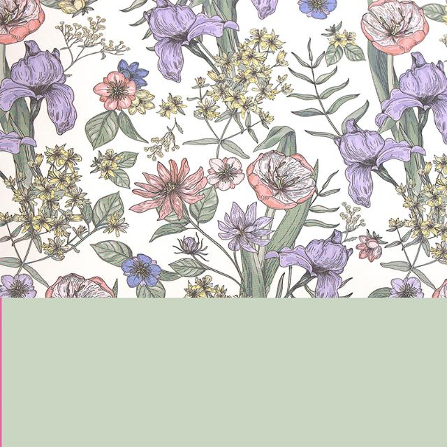 Wrapping Paper 3675 Iris  55 cm x 100 m