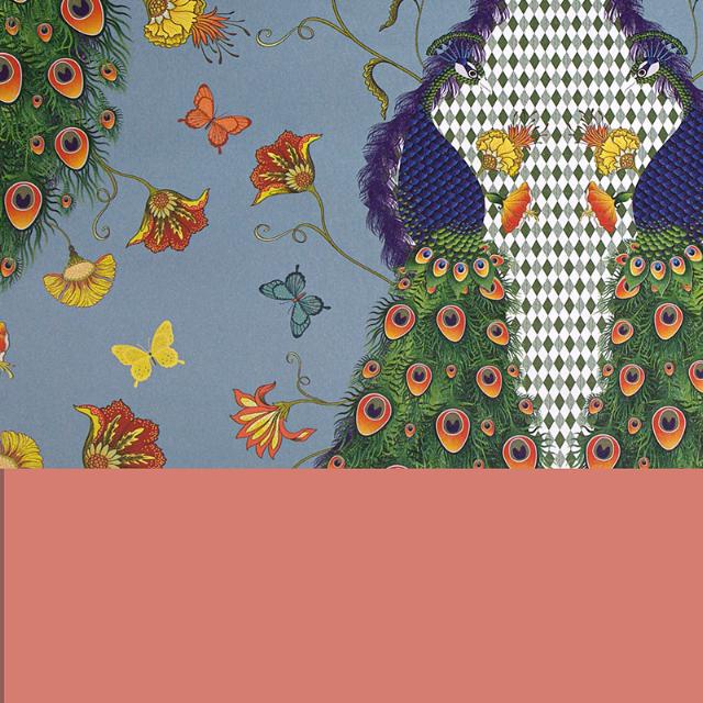 Wrapping Paper 3676 Peacock Fantasy 55 cm x 100 m 