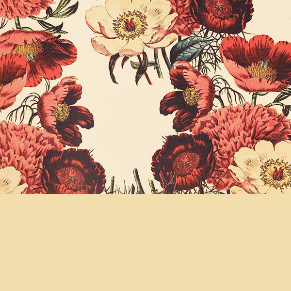 Wrapping paper 3710 55 cm Berries Cream