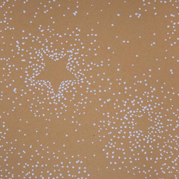 Paper 6220 Starry Snowfall (94 EUR)