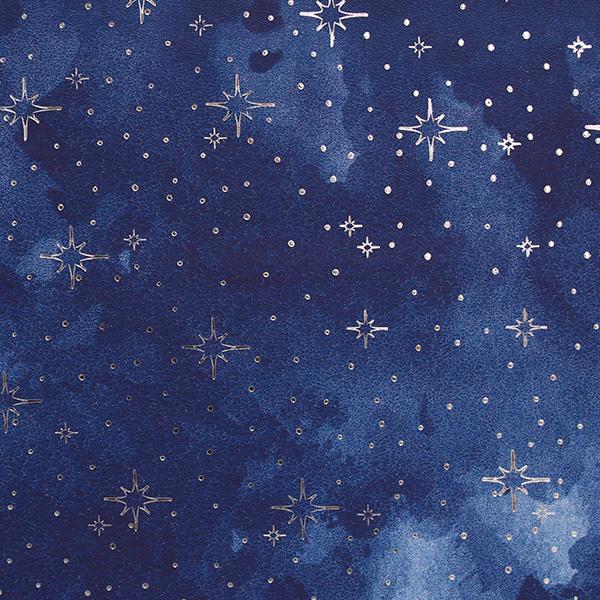 Christimas Paper 6400 Blue Winter Star N