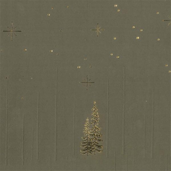 Christmas Paper 6483 Green Forrest Star Night 55 cm