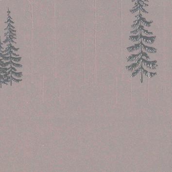 Christmas paper 6510 Forrest Star Night Warm Grey 55 cm x 100 m 