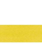 Polyribbon Glossy Yellow 10mm x 250m