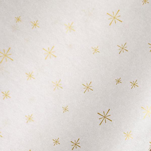 Tissue Paper DOT Merry Christmas White /guld 50x75cm