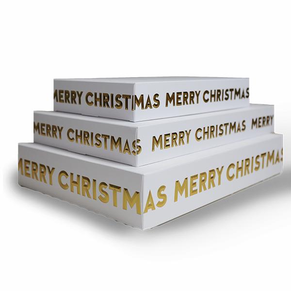 Gift Box W/Merry Christmas 24x38x5