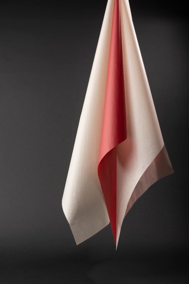 Soft and delicate tissue paper, ideal for wrapping and cushioning delicate items, adding an extra layer of care and elegance to your gift presentation.
